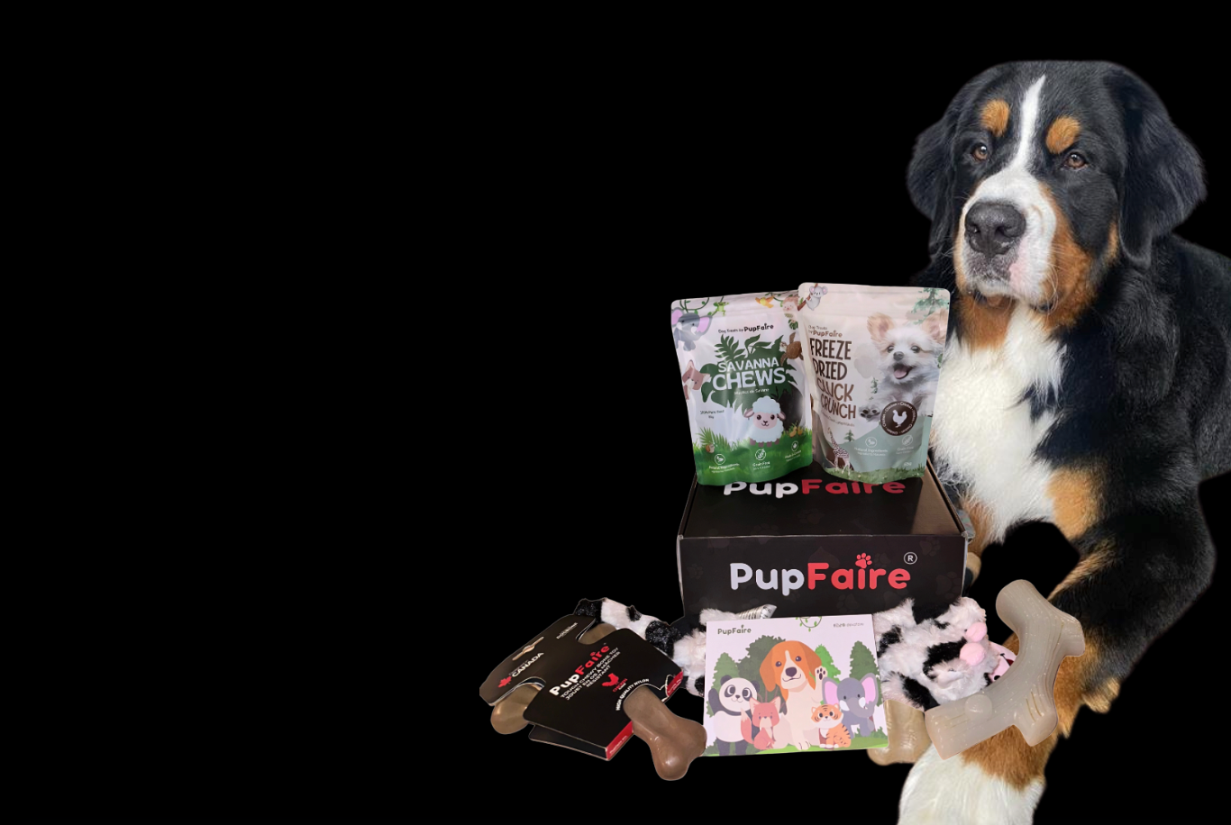 PupFaire Enrichment Box