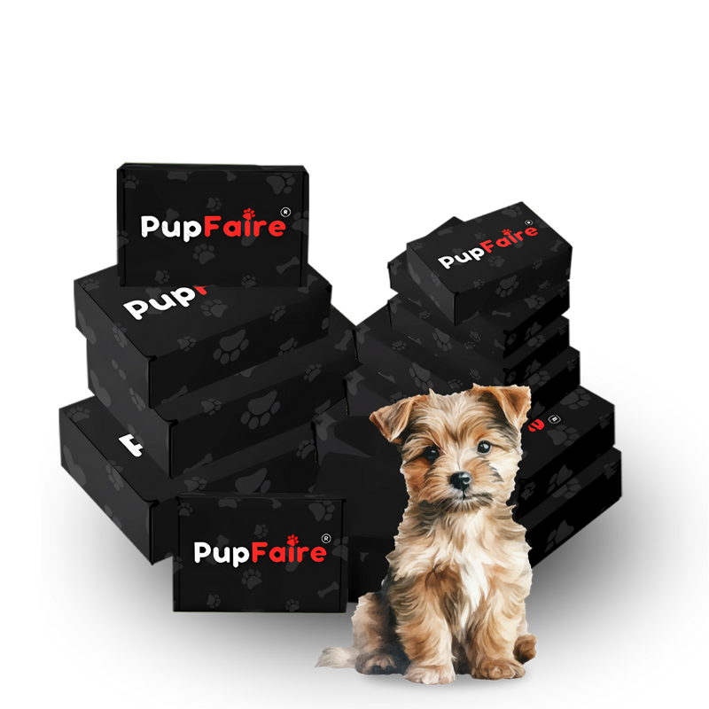 "Pup Faire social media graphic showcasing best-selling dog accessories"