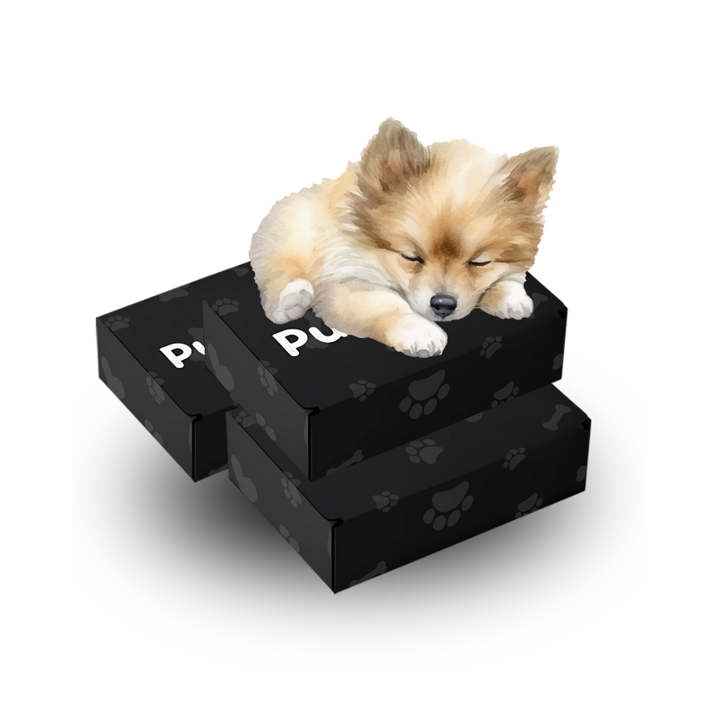"Pup Faire seasonal sale banner with festive dog-themed illustrations"