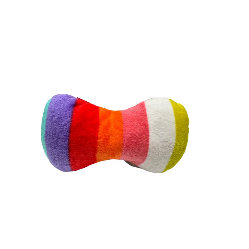 Rainbow Pillow Chewy Toy for Small Dogs