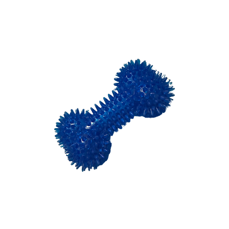 Spiky Bone Chewy Toy with Squeaker