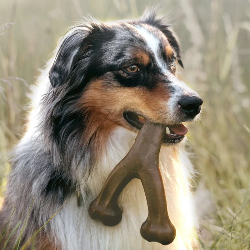 Chewy Bone Toy for Agressive Chewers - Special Chicken Flavoured