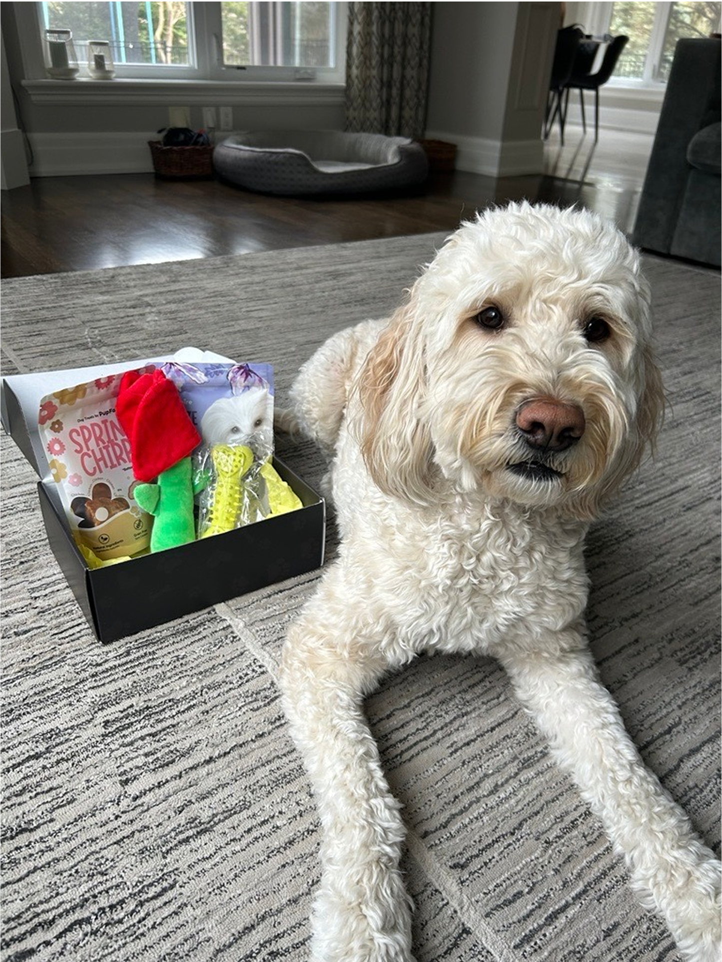 Rachel & Oliver, Calgary