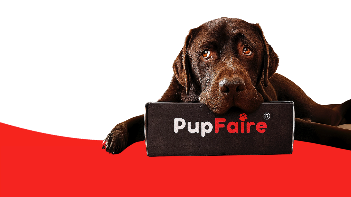 PupFaire Dog Box