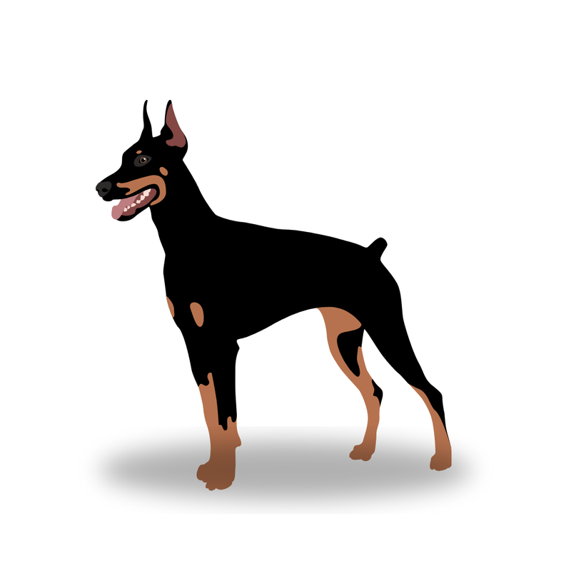 "Pup Faire annual (12-month) subscription offer with savings highlighted"