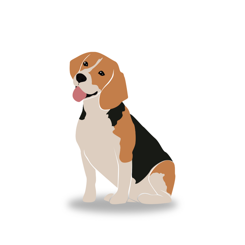 "Pup Faire quarterly (3-month) dog bandana subscription advertisement"